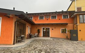 La corte dell'ulivo